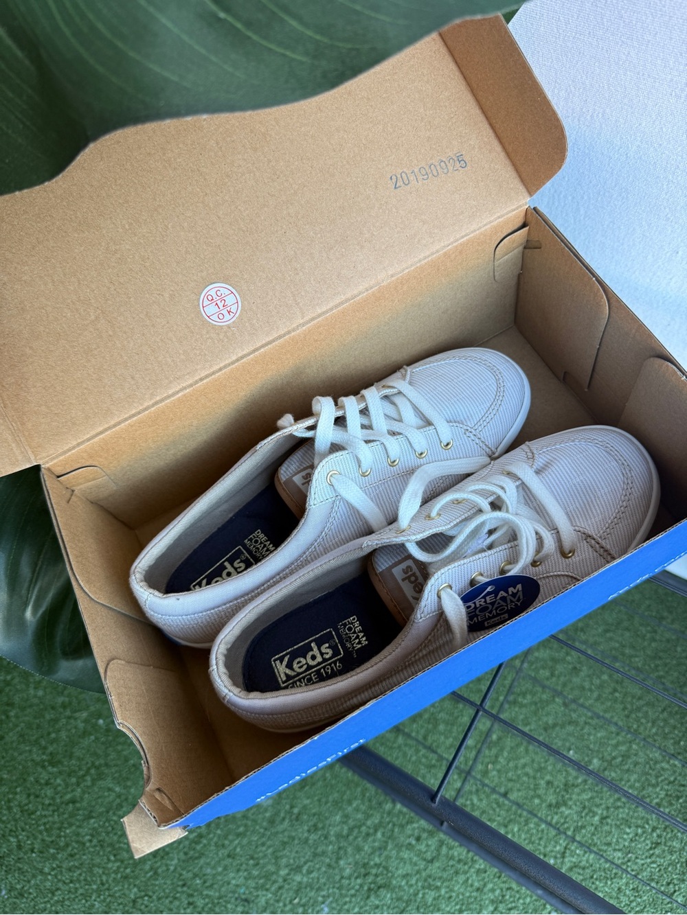 NWT in Box Womens Neutral Lace Up Keds Shoes / Size Women's 6.5
